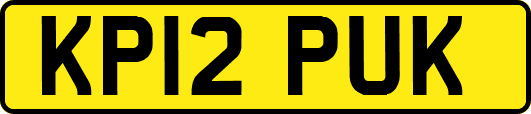 KP12PUK