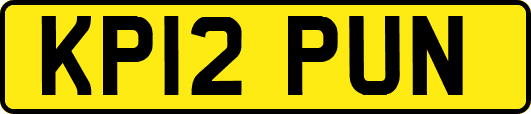 KP12PUN