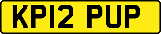 KP12PUP
