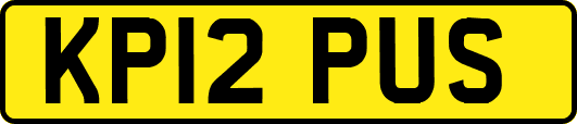 KP12PUS
