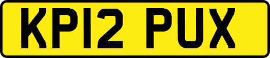 KP12PUX