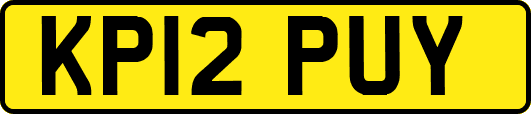 KP12PUY