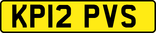 KP12PVS