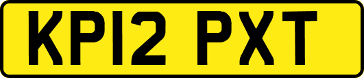 KP12PXT
