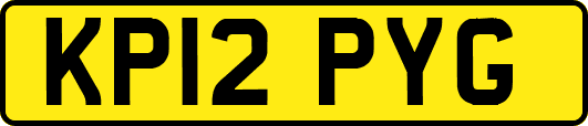 KP12PYG
