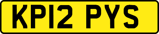 KP12PYS