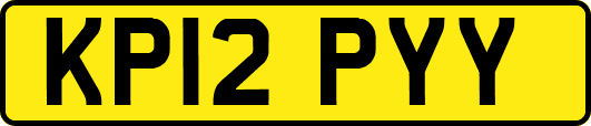 KP12PYY