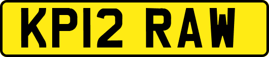 KP12RAW