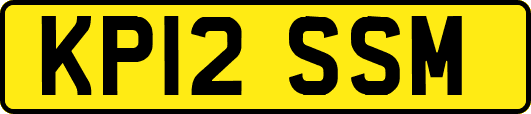 KP12SSM