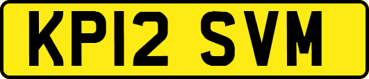 KP12SVM