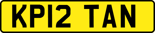 KP12TAN