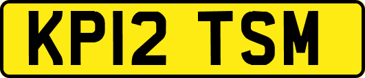 KP12TSM