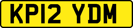 KP12YDM