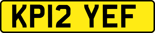 KP12YEF