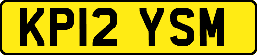 KP12YSM