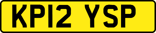 KP12YSP