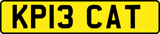 KP13CAT