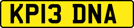 KP13DNA