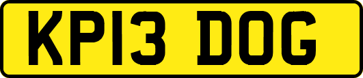 KP13DOG