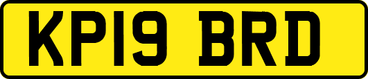 KP19BRD
