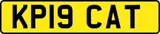 KP19CAT