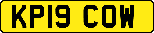 KP19COW