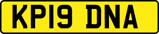 KP19DNA