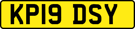 KP19DSY