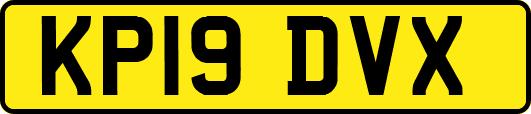 KP19DVX