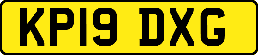 KP19DXG