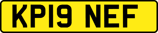 KP19NEF