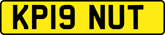 KP19NUT