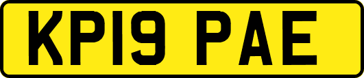 KP19PAE