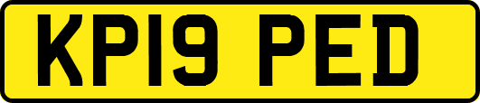 KP19PED
