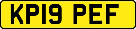 KP19PEF
