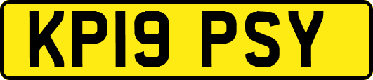 KP19PSY