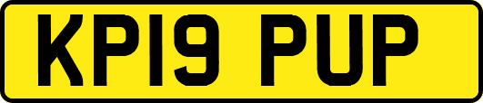KP19PUP