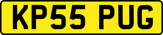 KP55PUG