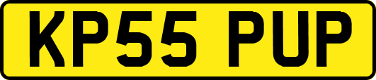KP55PUP