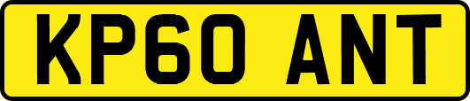 KP60ANT