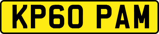 KP60PAM