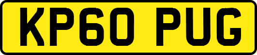 KP60PUG