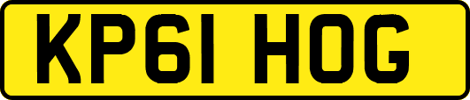 KP61HOG