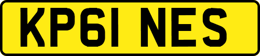 KP61NES
