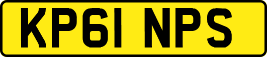 KP61NPS