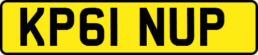 KP61NUP