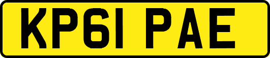 KP61PAE