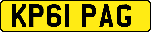 KP61PAG