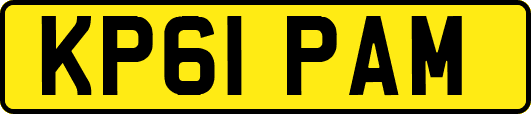 KP61PAM