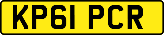 KP61PCR